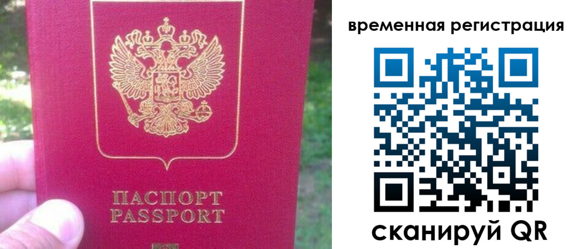 временная регистрация для школы в Сланцах